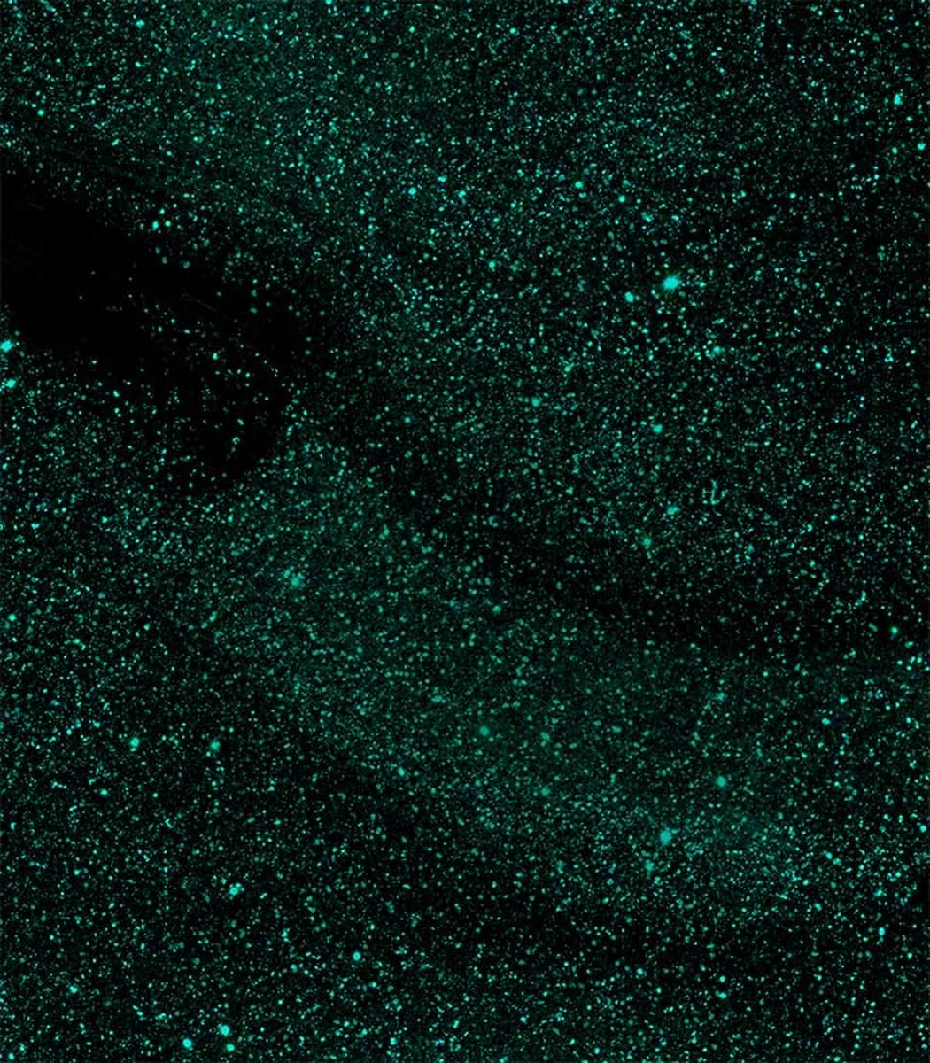 Pink Gellac - Mermaid Green - Gellak - Groen - 15 Ml - Afbeelding 3