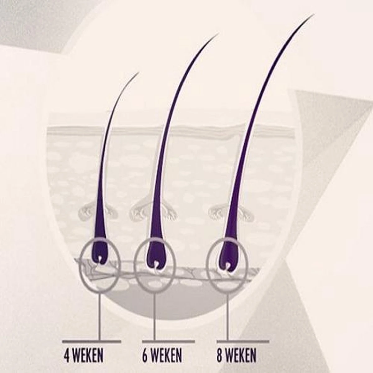 Rock&Rose Lash Serum - Wimper Serum - Inclusief Gratis Mascara - Afbeelding 5